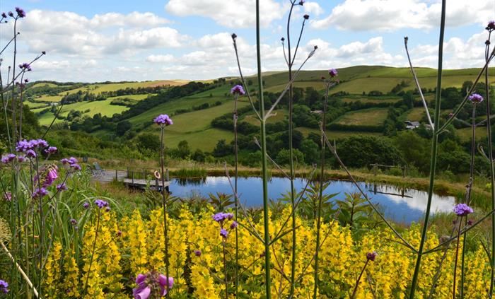 Gardens and spring fed swimming pond